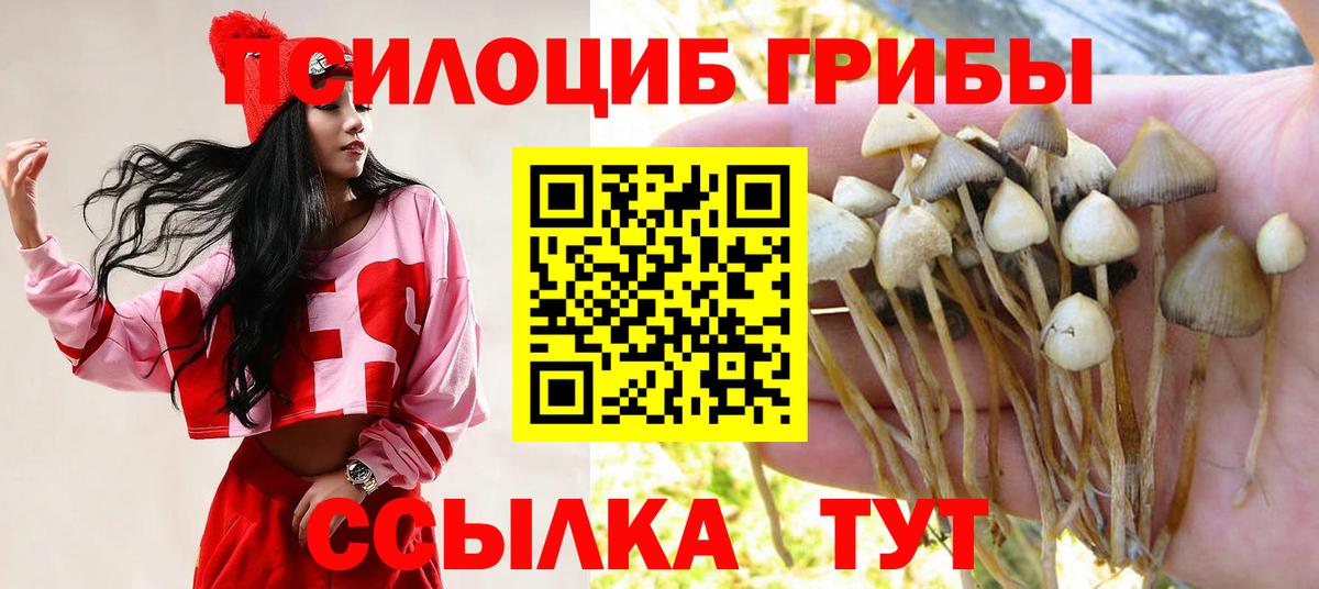 цена   Вход с VPN  Кирово-Чепецк  Псилоцибиновые грибы Magic Shrooms 