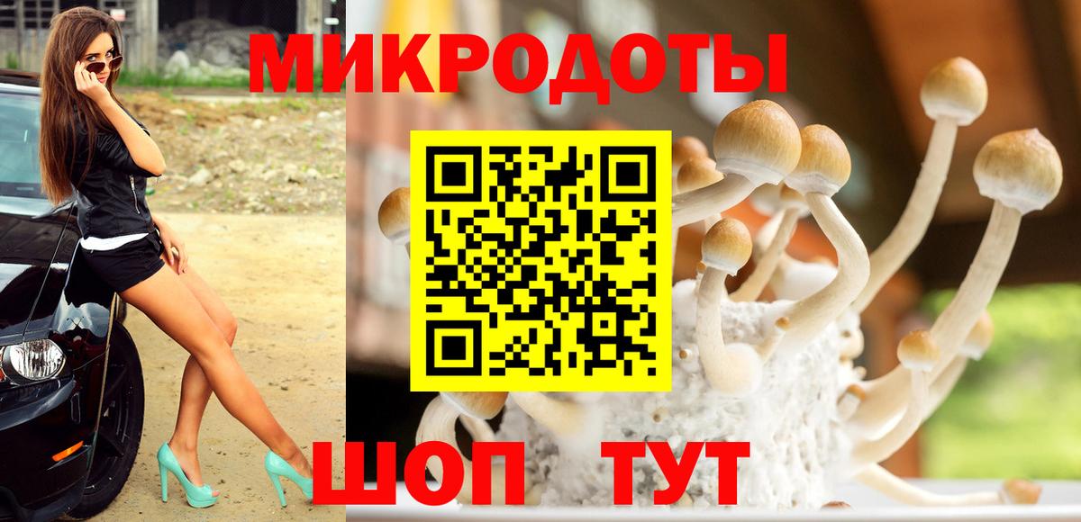 Галлюциногенные грибы мицелий Кирово-Чепецк